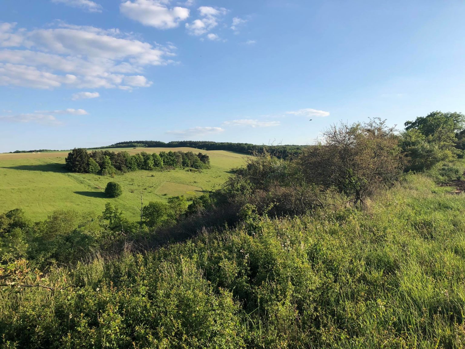 Startseite Ortsgemeinde Wendelsheim